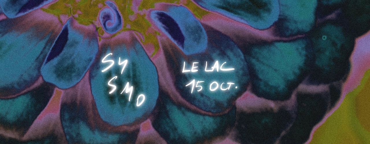 SYSMO au Lac